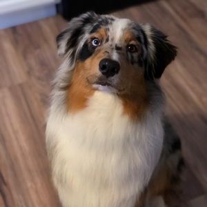 Meet your Posher, Tim